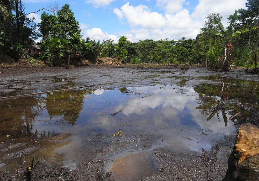Indigenous leaders call for an end to new Amazon oil drilling and mining
